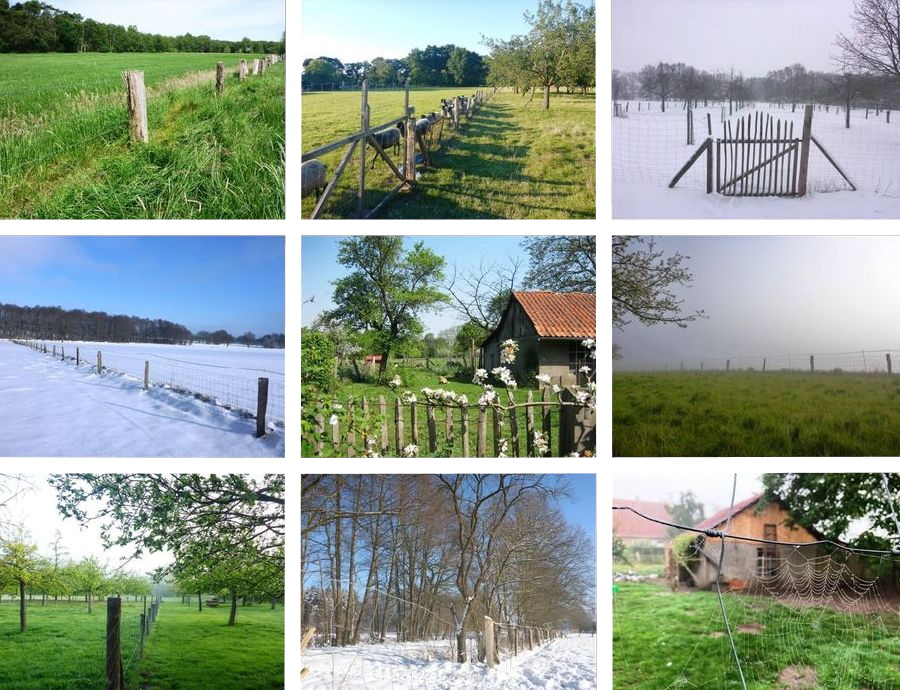 Ein regnerischer Sommer