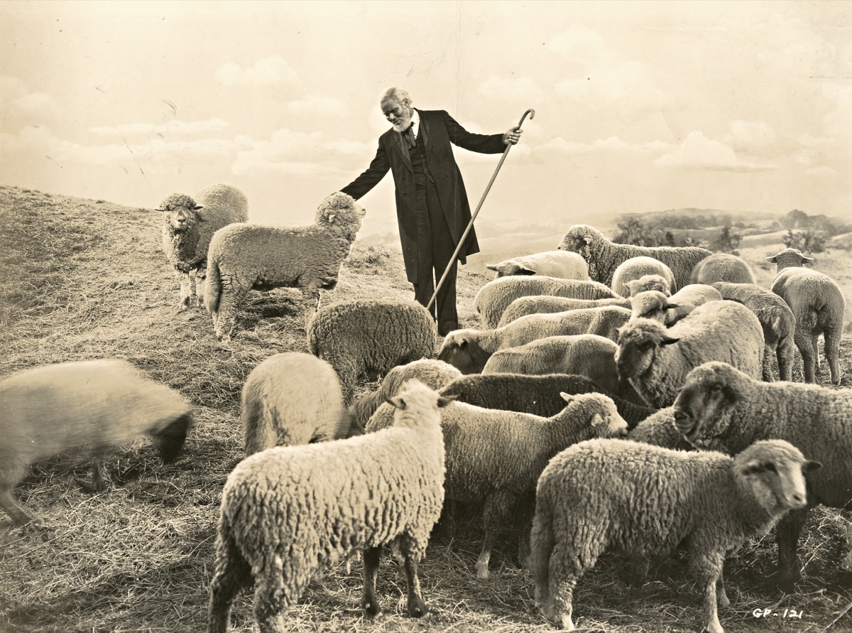 Bockzüchter